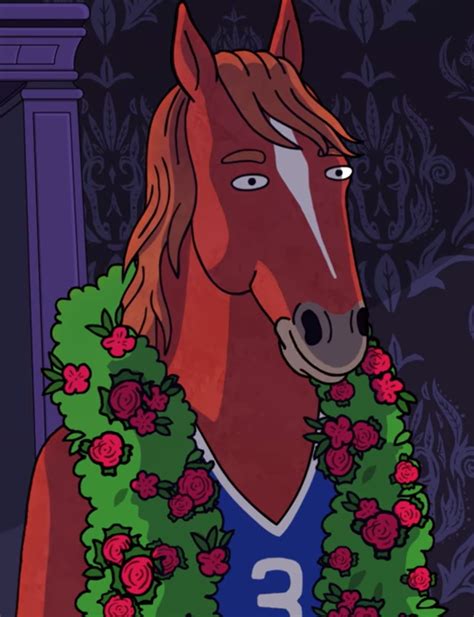 bojack horseman wiki fandom.
